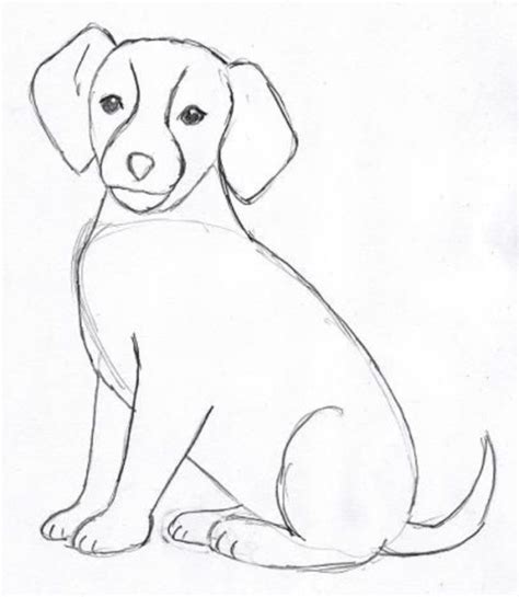 dog pencil drawing outline - Newton Easterling