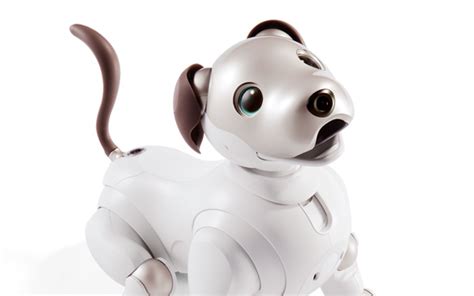 Hello Aibo, goodbye Alexa: Sony turns robot dog into AI assistant ...