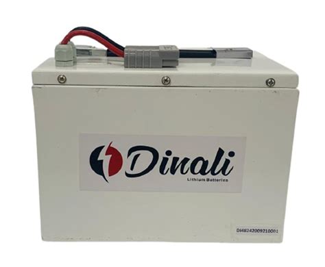 Dinali Lithium Ferro Phosphate Battery, Battery Capacity: 24 Ah ...