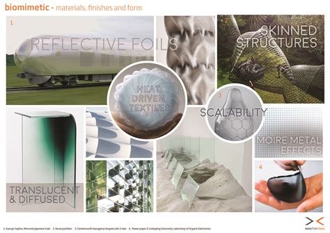 Biomimetic - materials, finishes and form | Nature inspiration, Natural ...