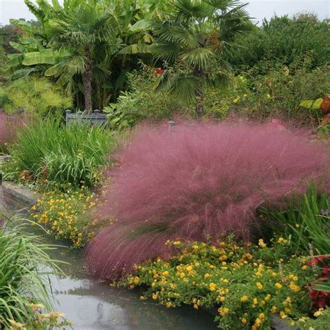 Pink muhly grass landscape | Jardins, Paysage, Projet maison