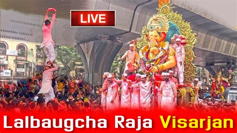 Lalbaugcha Raja Visarjan 2023 LIVE: लाइव देखें लालबागचा राजा का विसर्जन ...