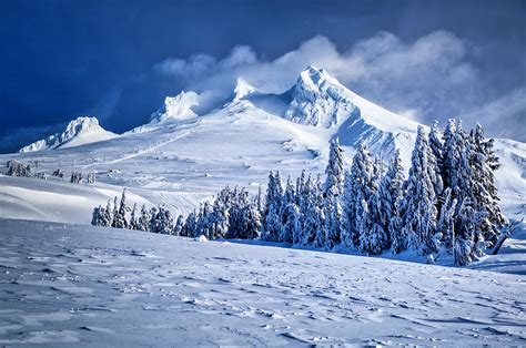 Mt. Hood in Winter Photograph by Bruce Block - Fine Art America