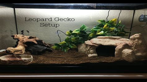 Leopard Gecko Vivarium Setup