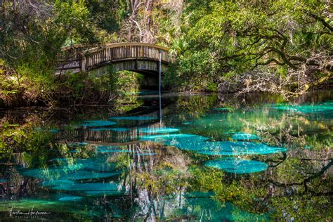 Juniper Springs (USA) Foto & Bild | nature, nikon, usa Bilder auf ...