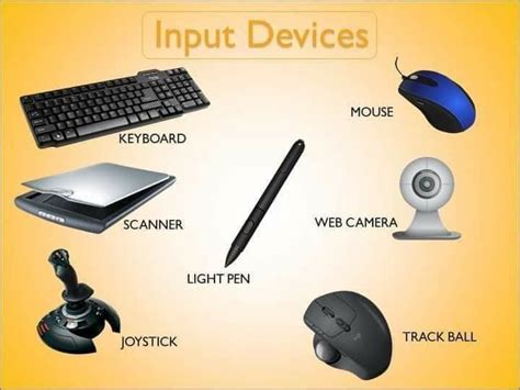 Input Devices | Computer drawing, Easy drawings for kids, Input devices ...