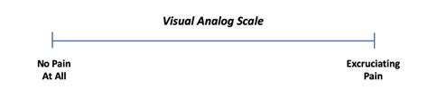 Visual Analog Survey Scale -- A Pain-ful Misnamed Scale (2022)