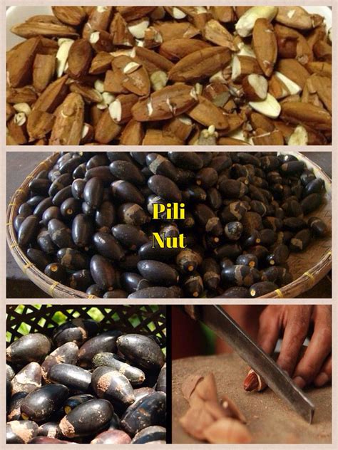 Pili Nut | Food, Food cravings, Pili nut