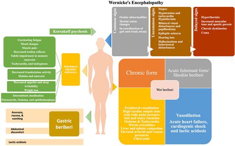 Frontiers | Thiamine deficiency in pregnancy and lactation ...