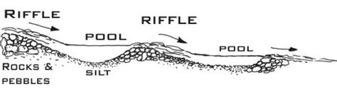 FSC (Field Studies Council) - Life in Freshwater