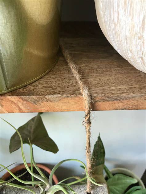 How to Create a DIY Indoor Plant Wall - Life Love Larson