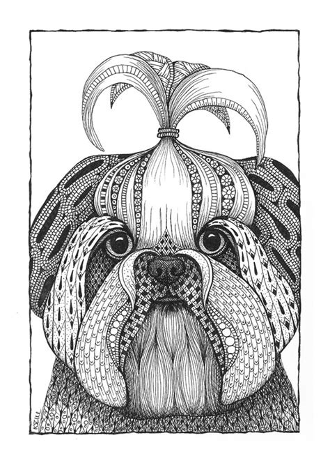 Shih Tzu Top Knot - BrainVessel Gallery