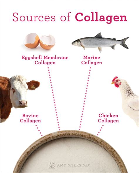 What Are The Types Of Collagen? Their Sources If You Need, 60% OFF