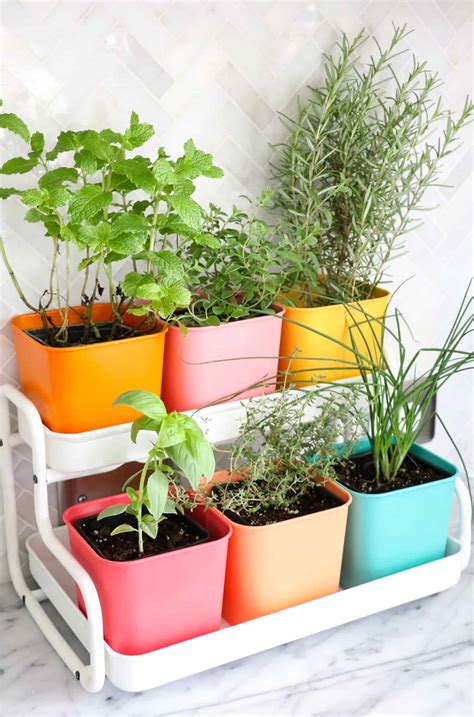 Make a Colorful Indoor Herb Garden - A Beautiful Mess