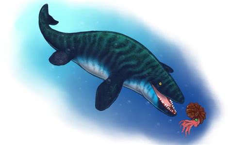 Prognathodon by BangBooDoragon on DeviantArt