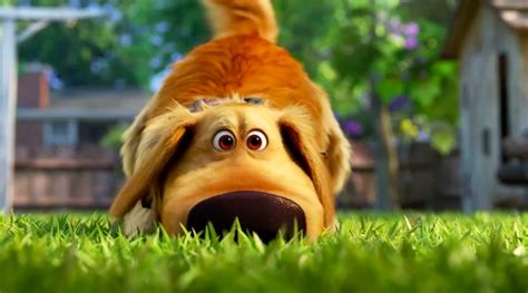 'Dug Days' Shorts Disney+ Release Date Announced (US) - Disney Plus ...