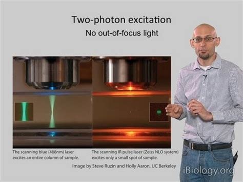 Two-Photon Microscopy Resolution - Inselmane