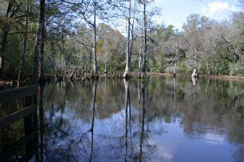 Suncoast Chapter - Florida Trail: Withlacoochee River Park Hiking Trail