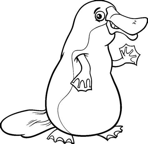 Platypus Sleeping Coloring Page - Free Printable Coloring Pages for Kids