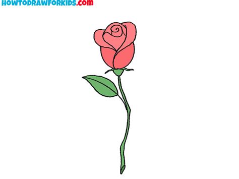 Pencil Drawing Rose Flowers | Best Flower Site