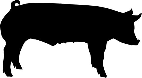 Show Pig Clip Art Show Pig Clip Art Show Pig Clip Art Pig Silhouette ...