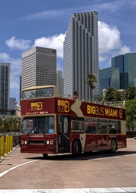 Big Bus Miami Hop-On Hop-Off Open Top Tour with optional Everglades ...