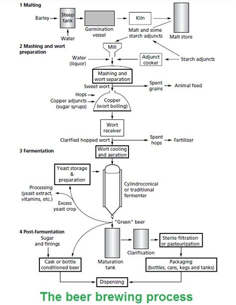 Beer brewing process - Microbiology Notes