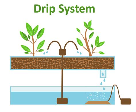 Getting Started With Drip System Hydroponics: 8 Things You Need To Know