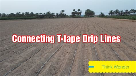 Drip irrigation system, Connecting T-Tape Drip lines in the field ...