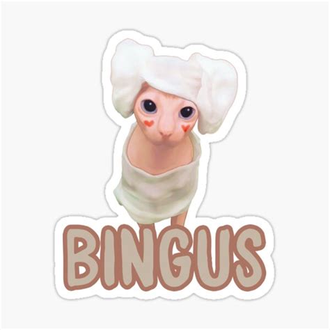 "Bingus Sphynx Cat Towel Hat" Sticker for Sale by cannevas | Redbubble