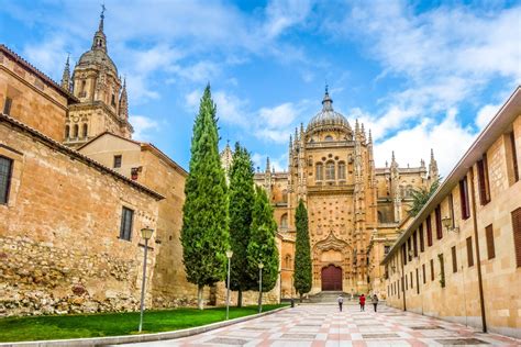 Doctor Coffee Salamanca / Top Ten Places For A Caffeine Fix While Studying