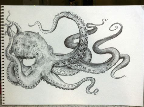 73 Nice Sketch octopus drawing for Kids | Sketch Art Design Ideas