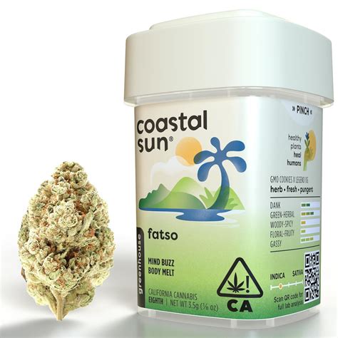 Coastal Sun Farm: Fatso Greenhouse Flower | Leafly