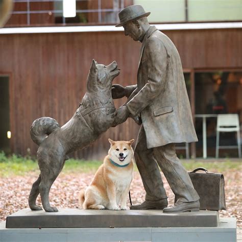 A Shiba Inu posing at a variation of Hachiko the loyal dog statue - 9GAG