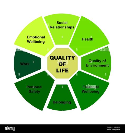 Diagram concept with Quality of Life text and keywords. EPS 10 isolated ...