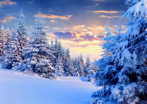 Winter Sunset HD Wallpaper (50+ images)