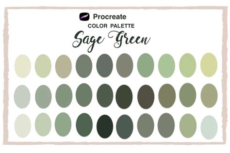 Procreate Color Palette,Sage Green