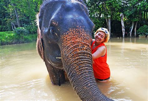 Phuket Elephant sanctuary Tour