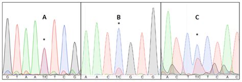 PHFinder: assisted detection of point heteroplasmy in Sanger sequencing ...