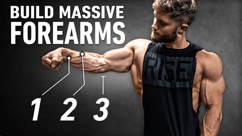 How To Increase Forearms - Numberimprovement23