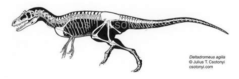 Deltadromeus - Alchetron, The Free Social Encyclopedia