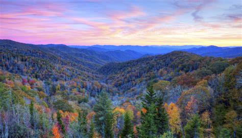 Smoky Mountains Fall Foliage