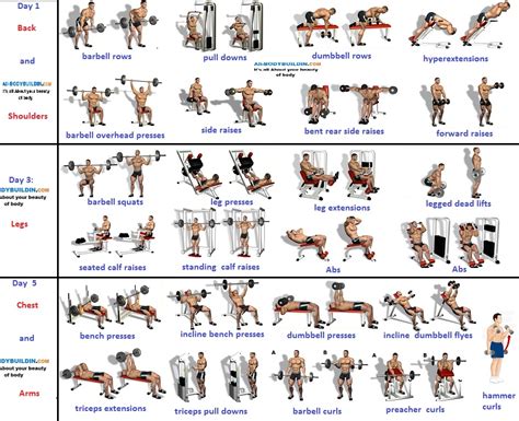 3-Day Muscle Building Workouts For Busy People - Bodydulding