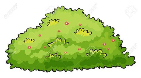 Bushes clipart cartoon, Bushes cartoon Transparent FREE for download on ...