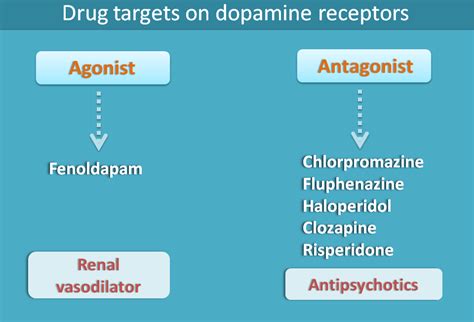 Types Of Dopamine Receptors