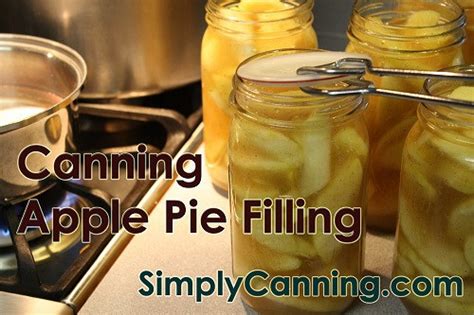 23 Best Canning Apple Pie Filling without Clear Jel - Best Recipes ...