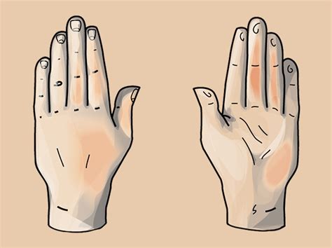 Quick Tip: How to Draw a Hand Based on Geometric Shapes