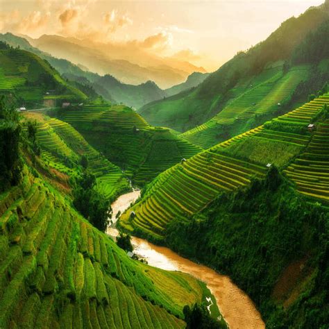 Vietnam Is Becoming More Popular Among American Tourists – Here’s Why ...