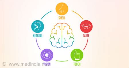 XLSTAT Sensory The Solution That Gives You In-depth Insights Into Your ...