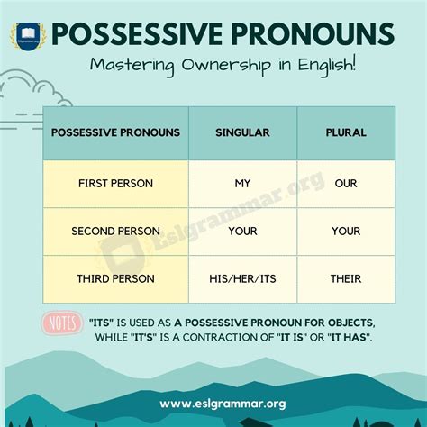 Possessive Adjectives And Possessive Pronouns